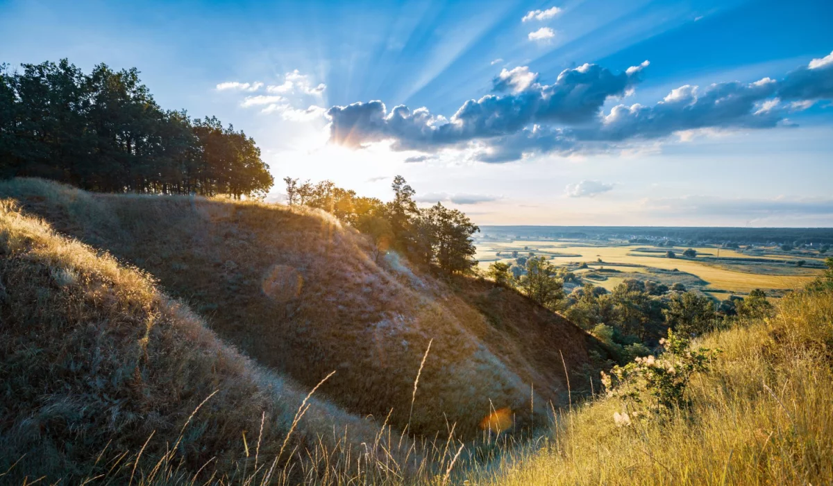 Tylko w tym wpisie dowiesz się jak profesjonalnie uczyć się hiszpańskiego