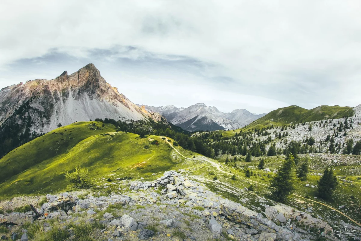 Jak często serwisować klimę w aucie?