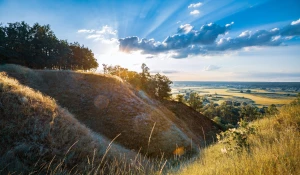 Czy można zamówić pokazy tańca Warszawa w niedzielę nie handlową?