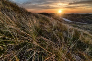 Krok Po Kroku Instrukcja Aby Oddać elektrośmiecie w Poznaniu